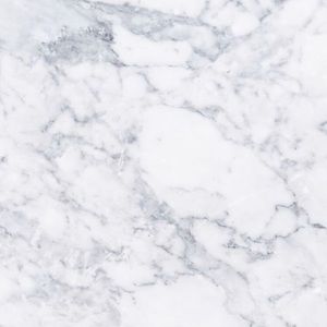 Meet your Posher, Maddie